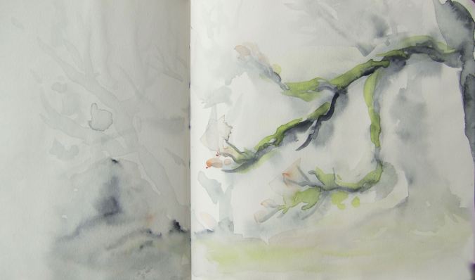 Mossy Branch/daily sketchjournal