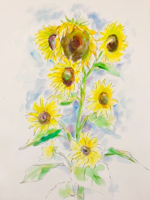 Sunflowers2019